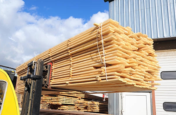 Which Wood Species Are Top Choices in Wholesale Exports