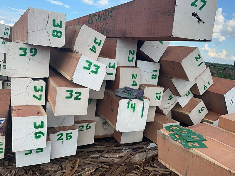 Top Balsamo Timber Manufacturers Arabia