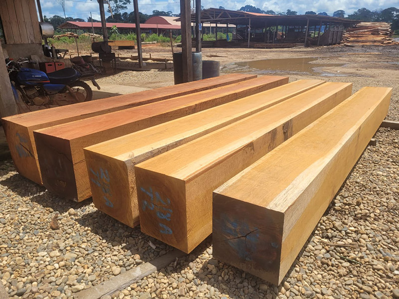 Is China African Wood Environmentally Friendly And Sustainable?
