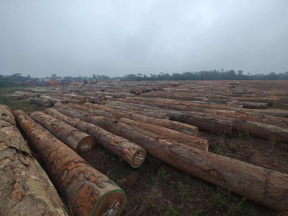 Azobe Round Logs（9）