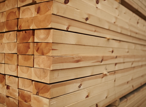 Best Mussivi Wood Manufacturers And Suppliers in France