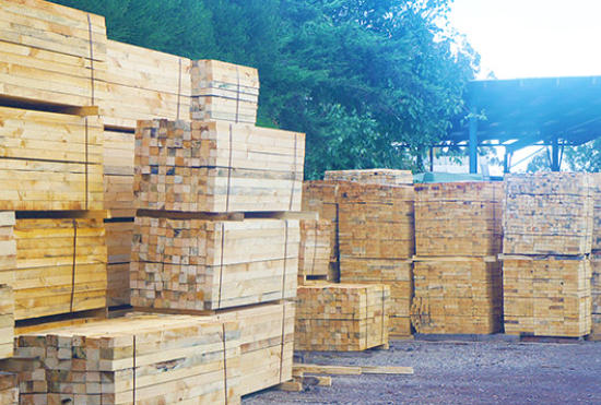 High Quality Wood Suppliers Democratic Republic Of The Congo