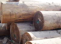 //iprorwxhlpqrlp5p.ldycdn.com/cloud/lrBpiKmiliSRkllkinjrko/Top-Hardwood-Manufacturers-And-Suppliers-in-Democratic-Republic-of-The-Congo.jpg