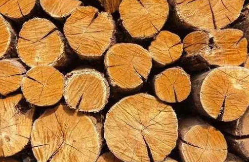 Hardwood Timber Distributors China