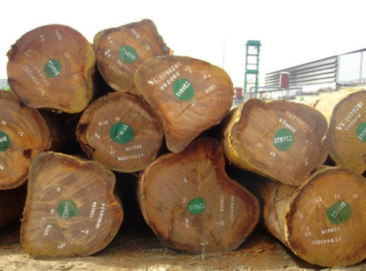 Azobe Round Logs Distributors China
