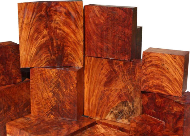 Jatoba Wood đến từ đâu