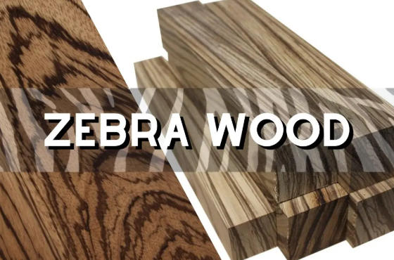 What Family of Wood Does Zebra Wood Belong To