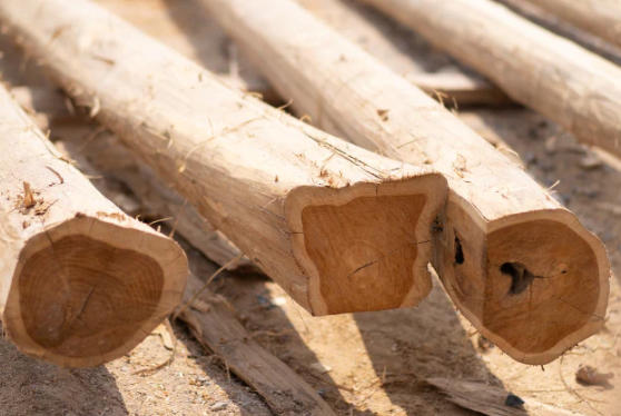 Purchase Teak Wood Planks Purchase Teak Wood Planks