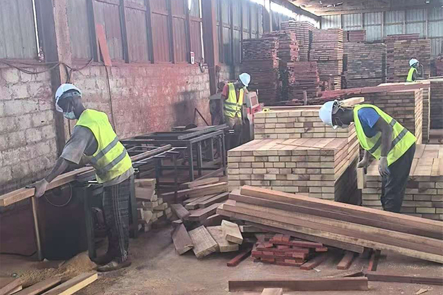 Sapelli Wood factory