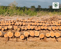 //iprorwxhlpqrlp5p.ldycdn.com/cloud/piBpiKmiliSRplojoilpkp/Teak-Wood.jpg