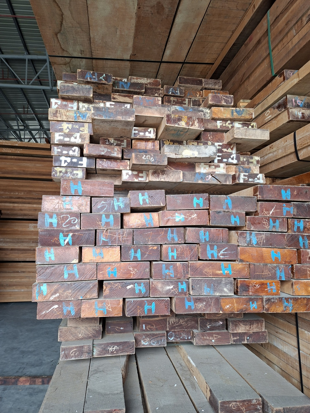 Burma Teak (6)