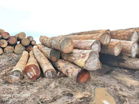 //iprorwxhlpqrlp5p.ldycdn.com/cloud/pkBpiKmiliSRoliriimmkq/African-Timber.png
