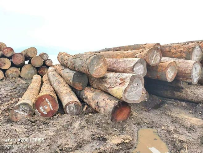 6 Essential Wood Manufacturing Methods: A Practical Guide for High-Quality Timber Production