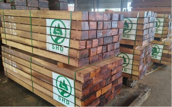 Iroko Wood