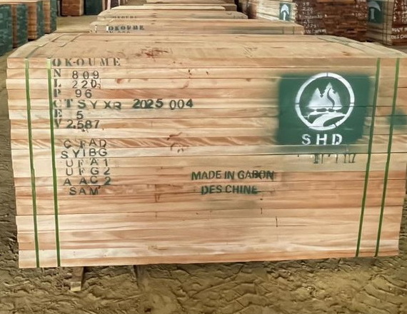 Top Light-Colored Wood Types For Global B2B Buyers