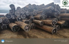Wenge Round Logs