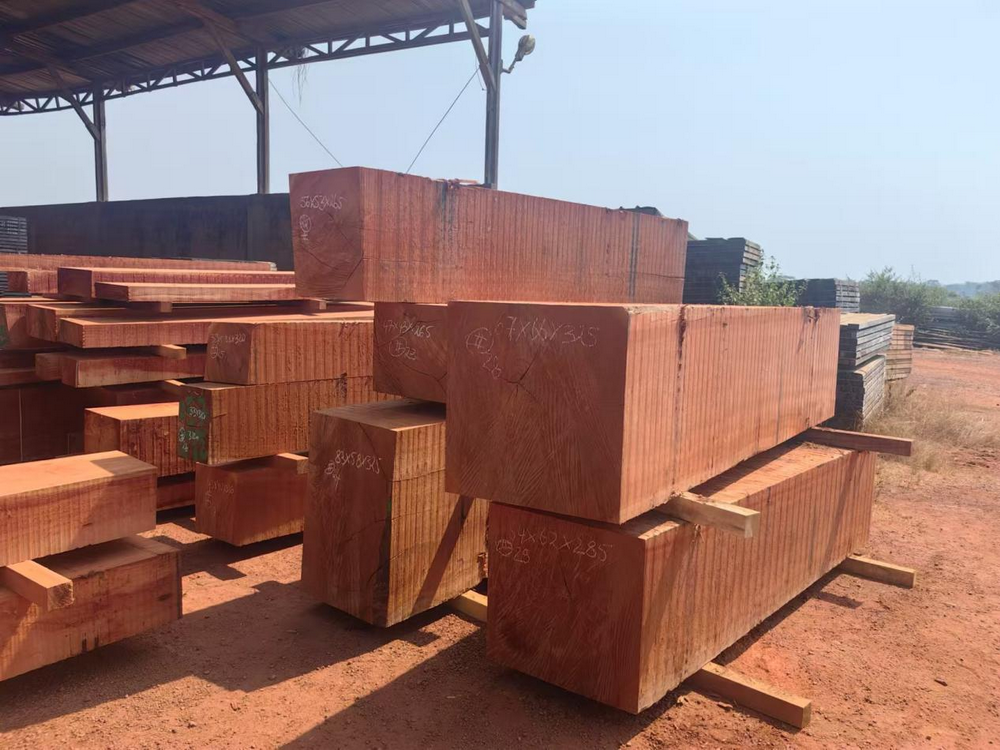 Africa&rsquo;s Wood (3)