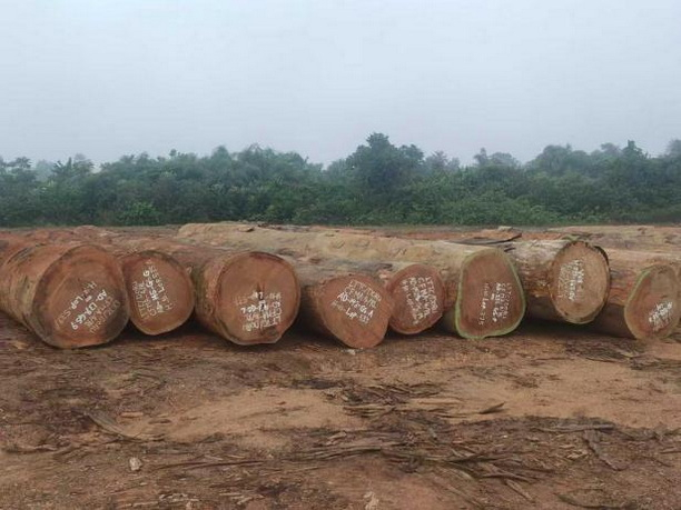 Azobe Round Logs