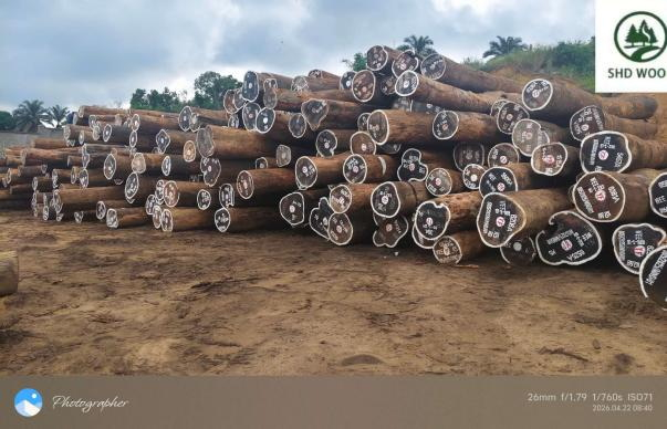 Wenge Round Logs