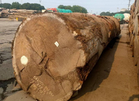 //iprorwxhlpqrlp5p.ldycdn.com/cloud/plBpiKmiliSRqlplpjrmkp/Kossipo-Wood.jpg
