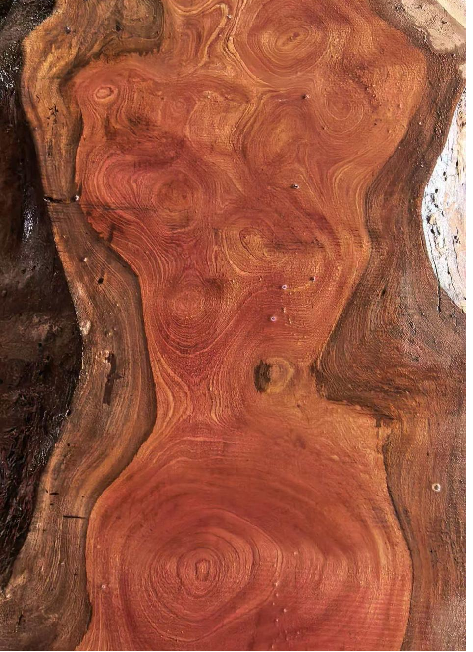 Sapelli Wood vs. Mahogany (1)