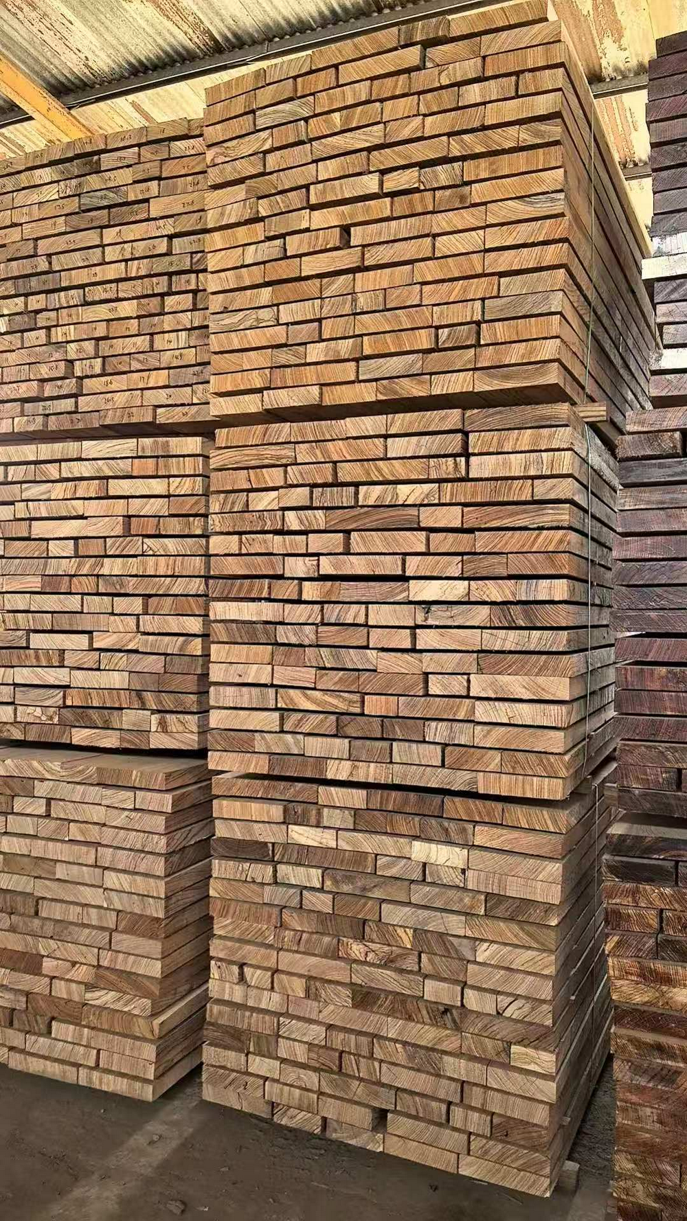 ZEBRA Wood (1)