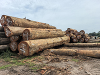 //iprorwxhlpqrlp5p.ldycdn.com/cloud/pmBpiKmiliSRqlorprjrko/Azobe-Timber.png