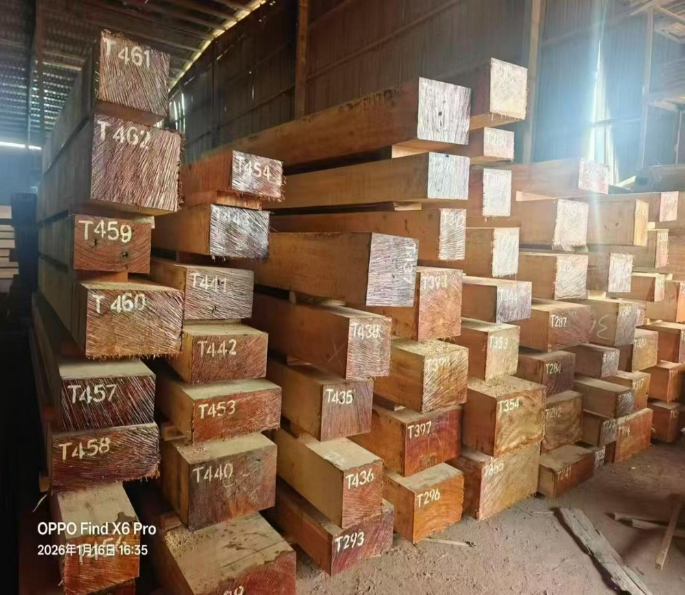 Africa&rsquo;s Wood (4)