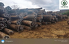 Wenge Round Logs