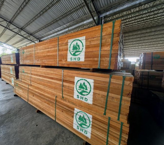 Tiama Wood (1)