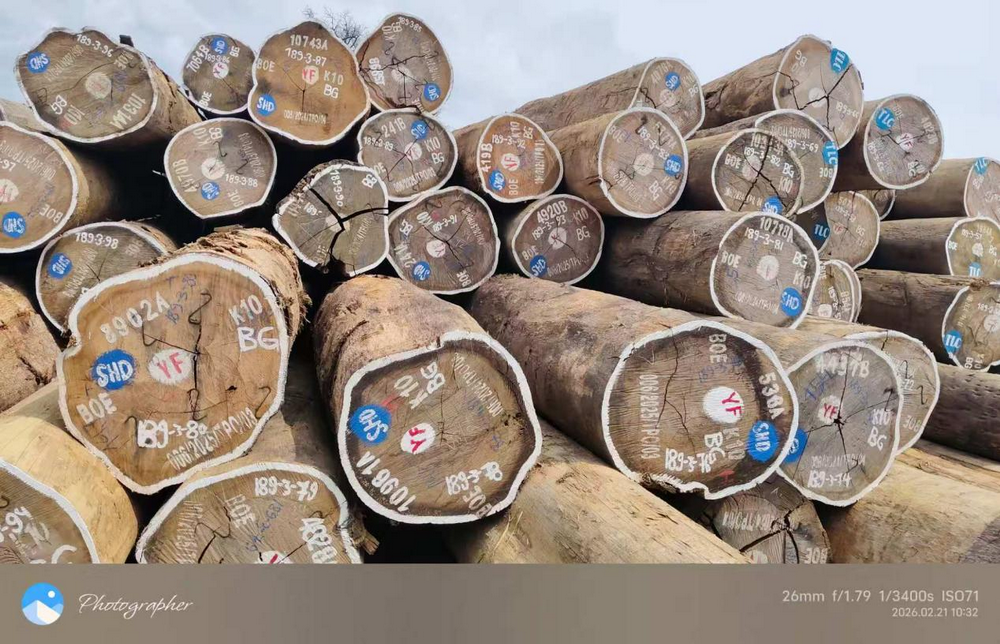 Africa’s Wood (1).png