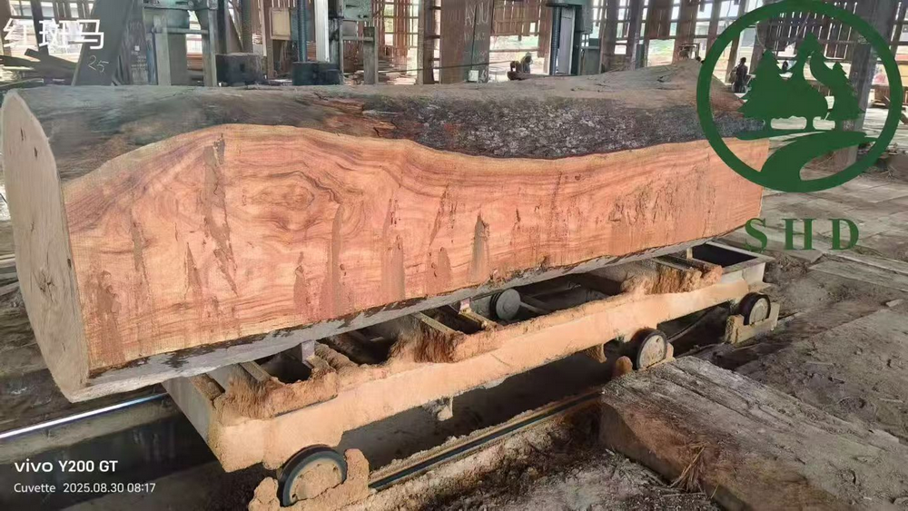 African Hardwood (3)