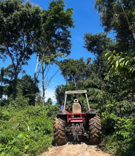 South America&rsquo;s Three Major Timber-Producing Countries (2)