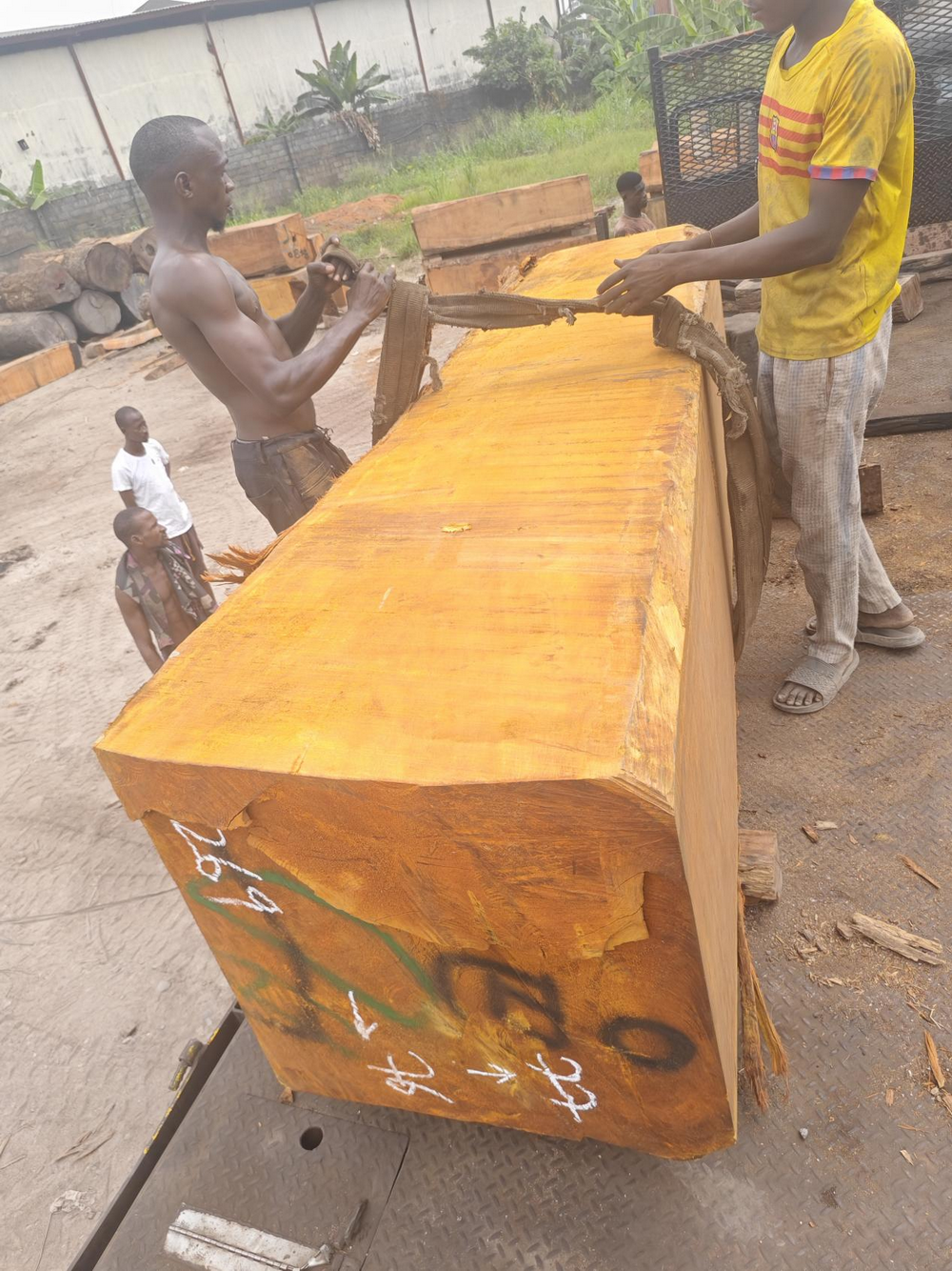 Nigerian Hardwood (2)